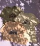 تیشرت-ماجراجویی-1374