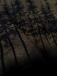 تیشرت-باکسی-pine-tree