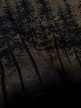 تیشرت-باکسی-pine-tree